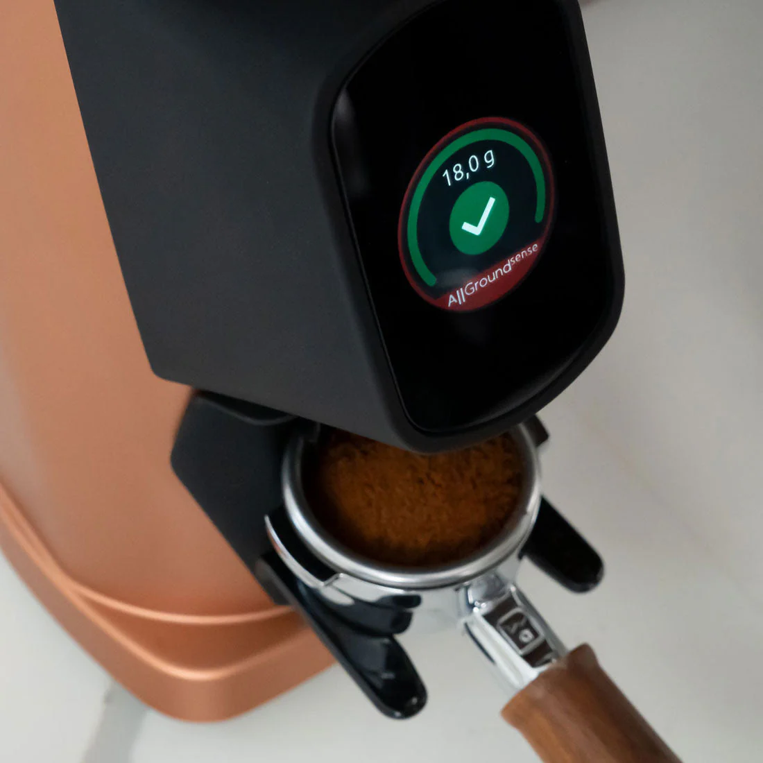 Fiorenzato AllGround Sense